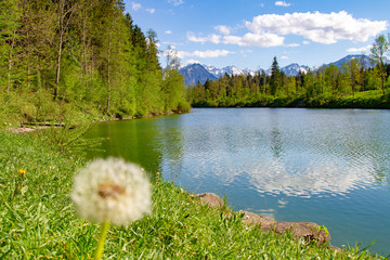 ALLGÄU - Auwaldsee - Oberstdorf - Fischen - Alpen - Bergsee