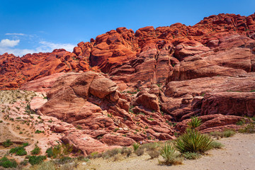 Fototapeta premium Rock formation at Red Rock Canyon in Nevada, USA