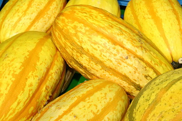 closeup of pumpkins