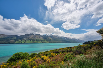 Blue lake and snow capped mountains with spring flowers in New Zealand