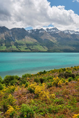 Blue lake and snow capped mountains with spring flowers in New Zealand