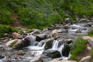 waterfall in forest