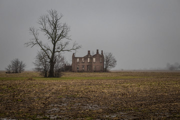 Scary abandoned mansion next to barren tree in field on foggy day