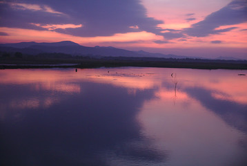 2935 Sunrise with purple sky above Zuari river in Goa