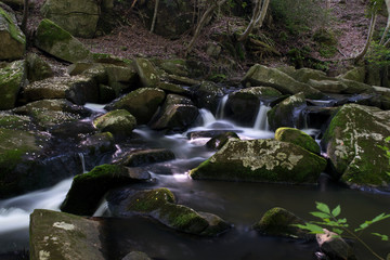 渓谷の静かな川