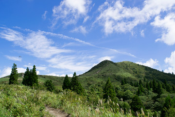 Obraz premium 山頂からの景色