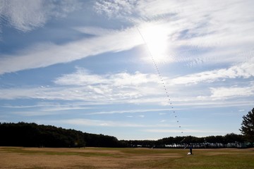 稲毛海岸での連凧