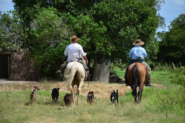gauchos hombres de campo 