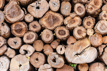 Round teak wood stump background.