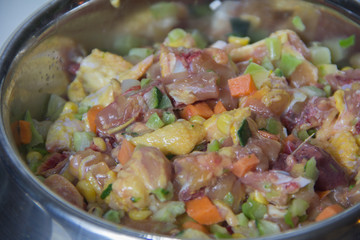 barf diet for dogs