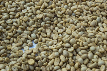 Dried coffee beans