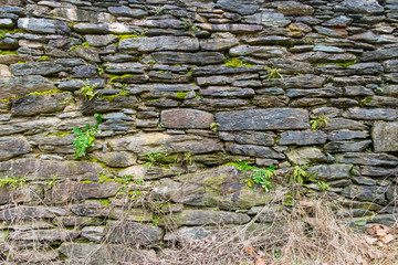 natural rock stone texture  Abstract