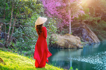 Fototapeta na wymiar Woman wearing Vietnam culture traditional in cherry blossom park.