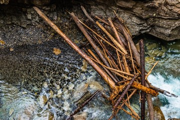 river with wood 