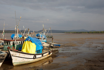 Naklejka premium 3105 Fishing boats in low tide in evening sun