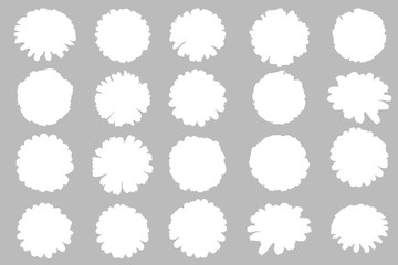 beautiful chrysanthemum flower