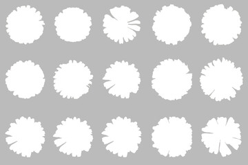 beautiful chrysanthemum flower