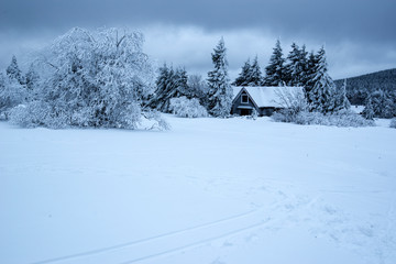 Leśna chata w górach zimą