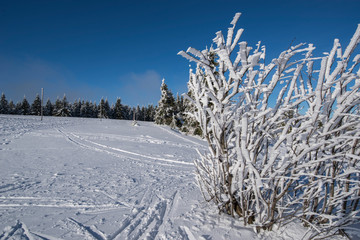 Zima Zieleniec Duszniki-Zdrój