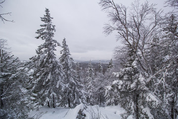 snowy landscape in the mountains