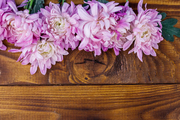 Beautiful chrysanthemums on wooden background. Top view, copy space
