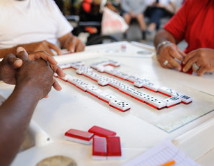 Masters of Domino Little Havana Miami