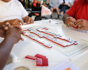 Masters of Domino Little Havana Miami