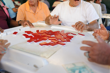 Masters of Domino Little Havana Miami