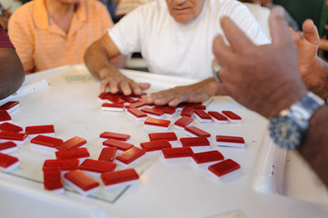 Masters of Domino Little Havana Miami