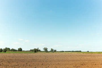 Obraz premium Potato patch sitting in the dutch countryside, ready to be plowed for growing delicious potatoes.