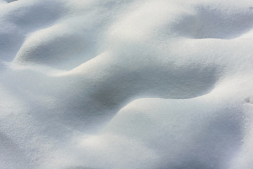 Snow texture in the winter forest. South Butovo. Moscow. Russia