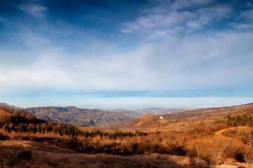 Paesaggio tipico toscano #1