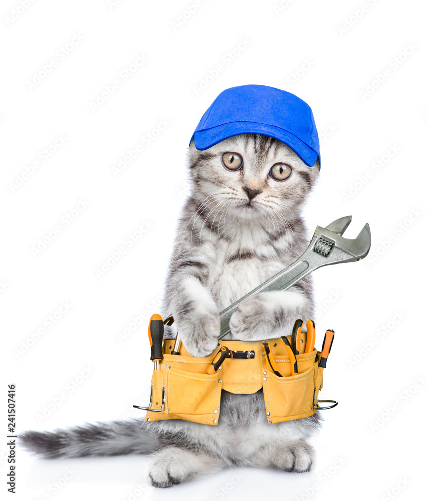 Poster Funny cat worker with toolbelt and adjustable wrench.  Isolated on white background