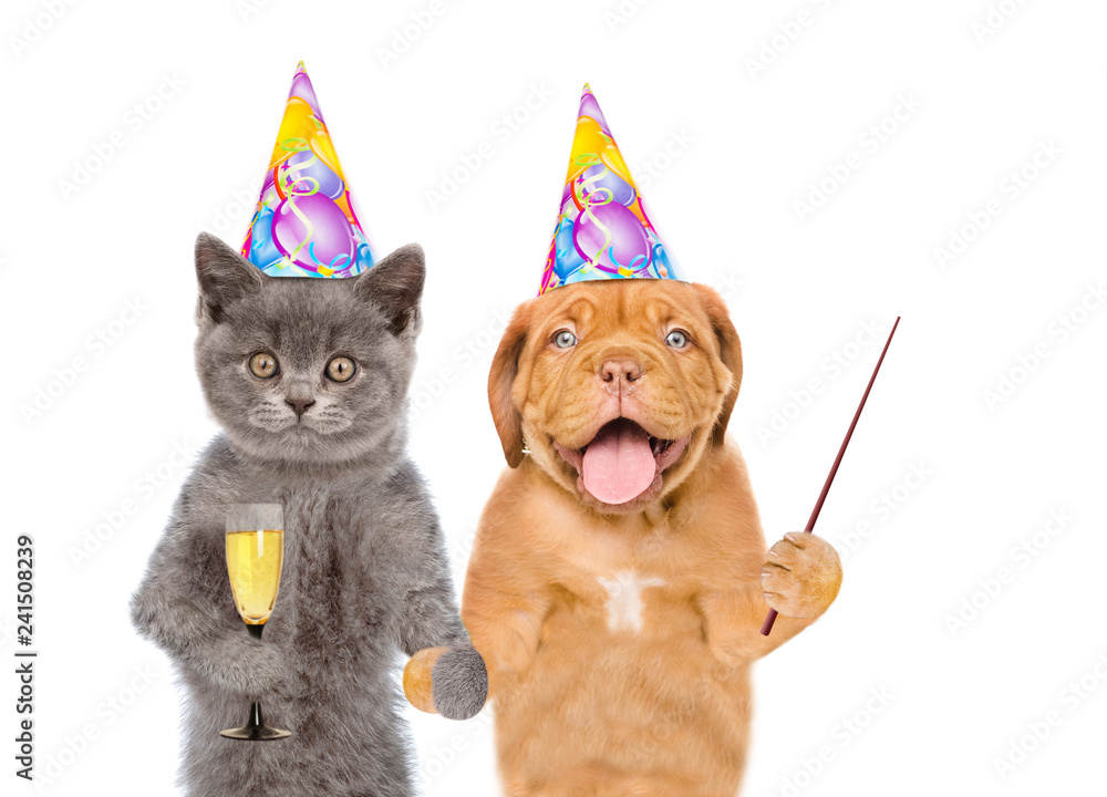 Poster cat and puppy in birthday hats with glasses of champagne pointing away on empty space. isolated on w