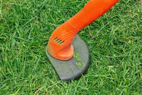 Manual electric grass mower. Trim the green lawn.