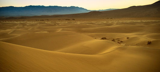 Sunrise over sand dunes.