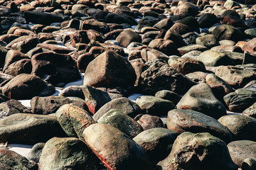 Rocks on shore with texture.