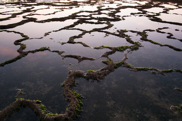 background or texture surface