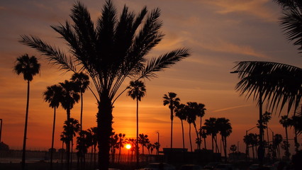 Obraz premium カリフォルニアの夕焼け