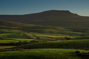 Penyghent bathed in winter sunshine