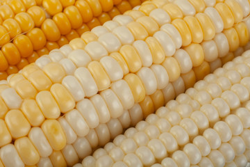 Corn vegatable closeup background