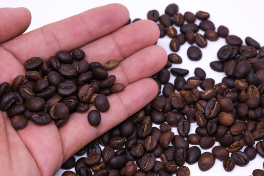 Coffee beans in hand, coffee bean background texture with copy space for text. Royalty high-quality free stock macro photo image of roasted black coffee beans, coffee beans in hands background