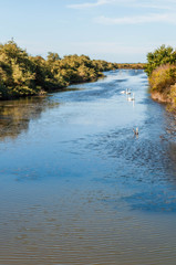 Audenge, Gironde, Nouvelle-Aquitaine, France.