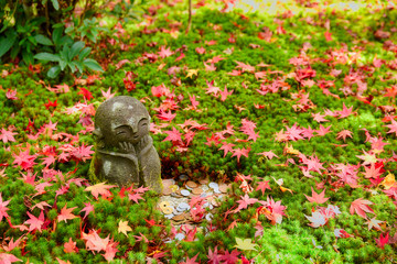 京都　圓光寺　十牛之庭のお地蔵様と紅葉