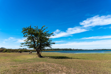Old wooden boat for fishing and view