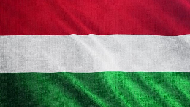 Hungary flag is waving 3D illustration. Symbol of Hungarian national on fabric cloth 3D rendering in full perspective.