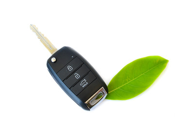 Car key with green leaf
