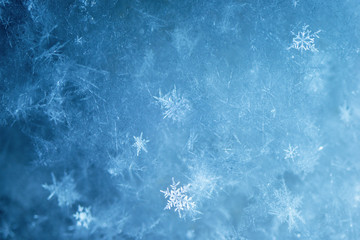 New Year and Christmas abstract icy snowy background with real snowflakes macro in cold blue tones. Cold winter background