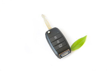 Car key with green leaf