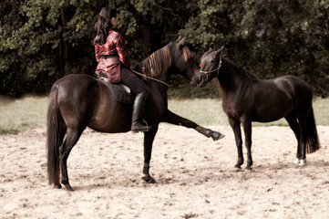 Horse rider doing the spanish walk